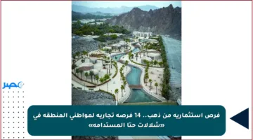 فرص استثمارية من ذهب.. 14 فرصة تجارية لمواطني المنطقة في «شلالات حتا المستدامة»